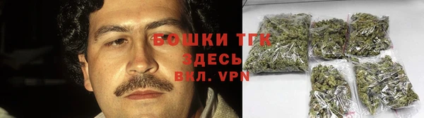 дмт Заводоуковск