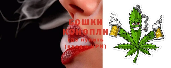 дмт Заводоуковск