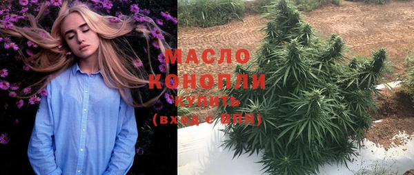 индика Щучье