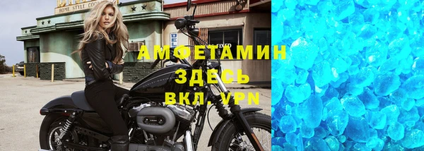 индика Щучье