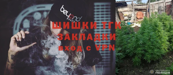 дмт Заводоуковск